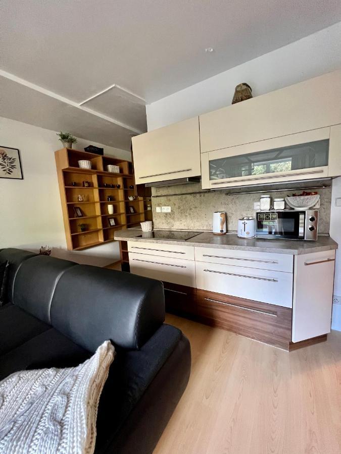 Appartement Apartman Labska 21 Ve Spindlerove Mlyne à Špindlerŭv Mlýn Extérieur photo
