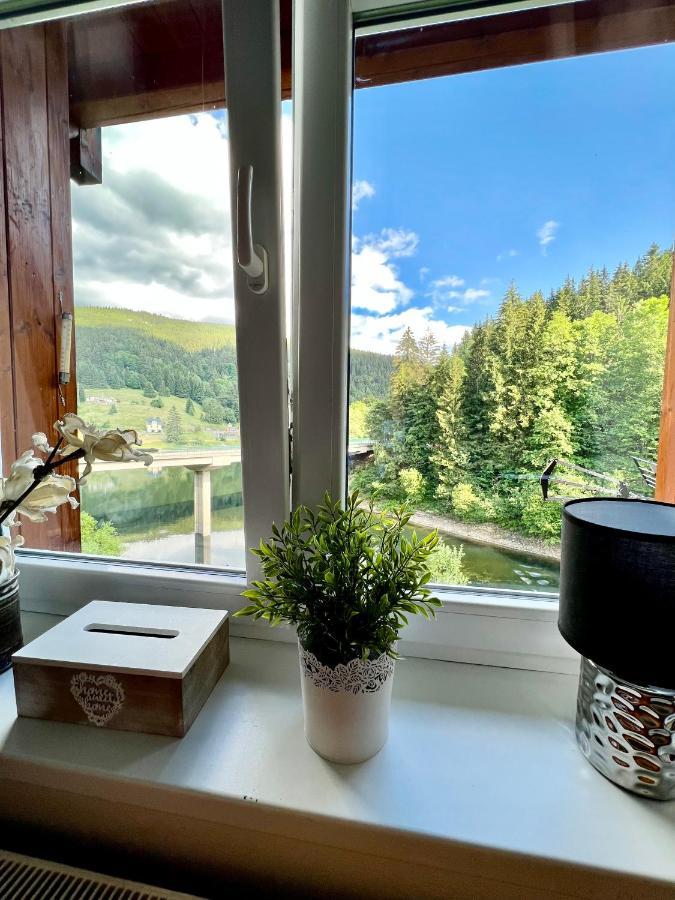 Appartement Apartman Labska 21 Ve Spindlerove Mlyne à Špindlerŭv Mlýn Extérieur photo